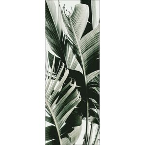Leinwandbild Canvas-Art 'Jungle Leaves IV' 27 x 77 cm