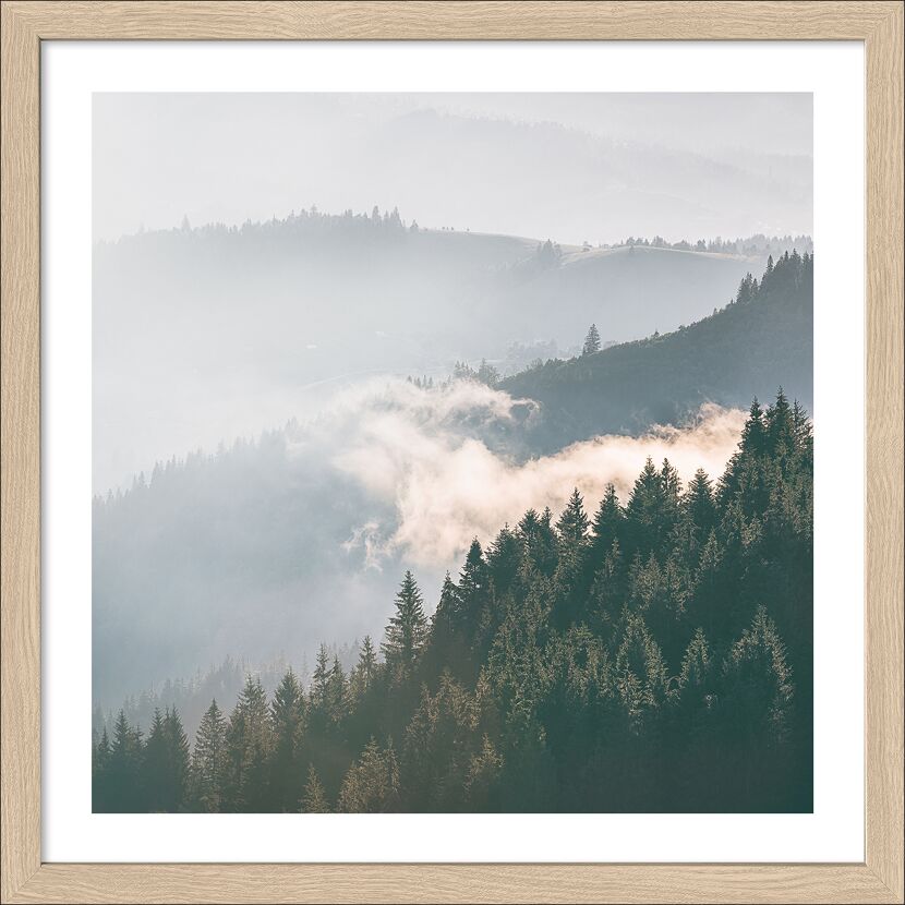 Grüne Berglandschaft mit Nebel