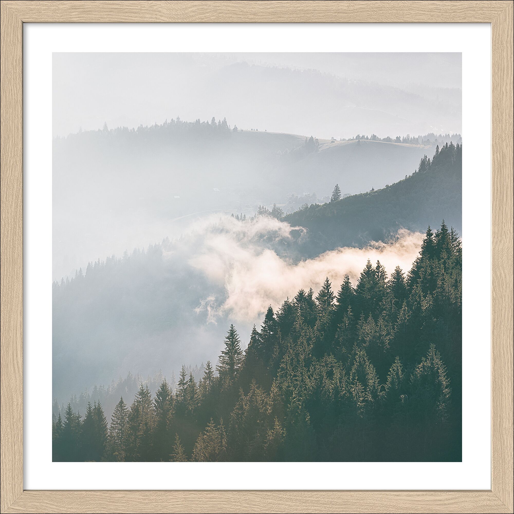 Grüne Berglandschaft mit Nebel