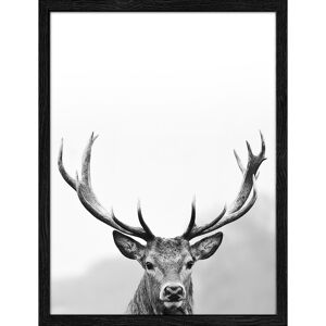 Kunstdruck Framed-Art Slim Scandic 'Grey Deer Head lll' 33 x 43 cm