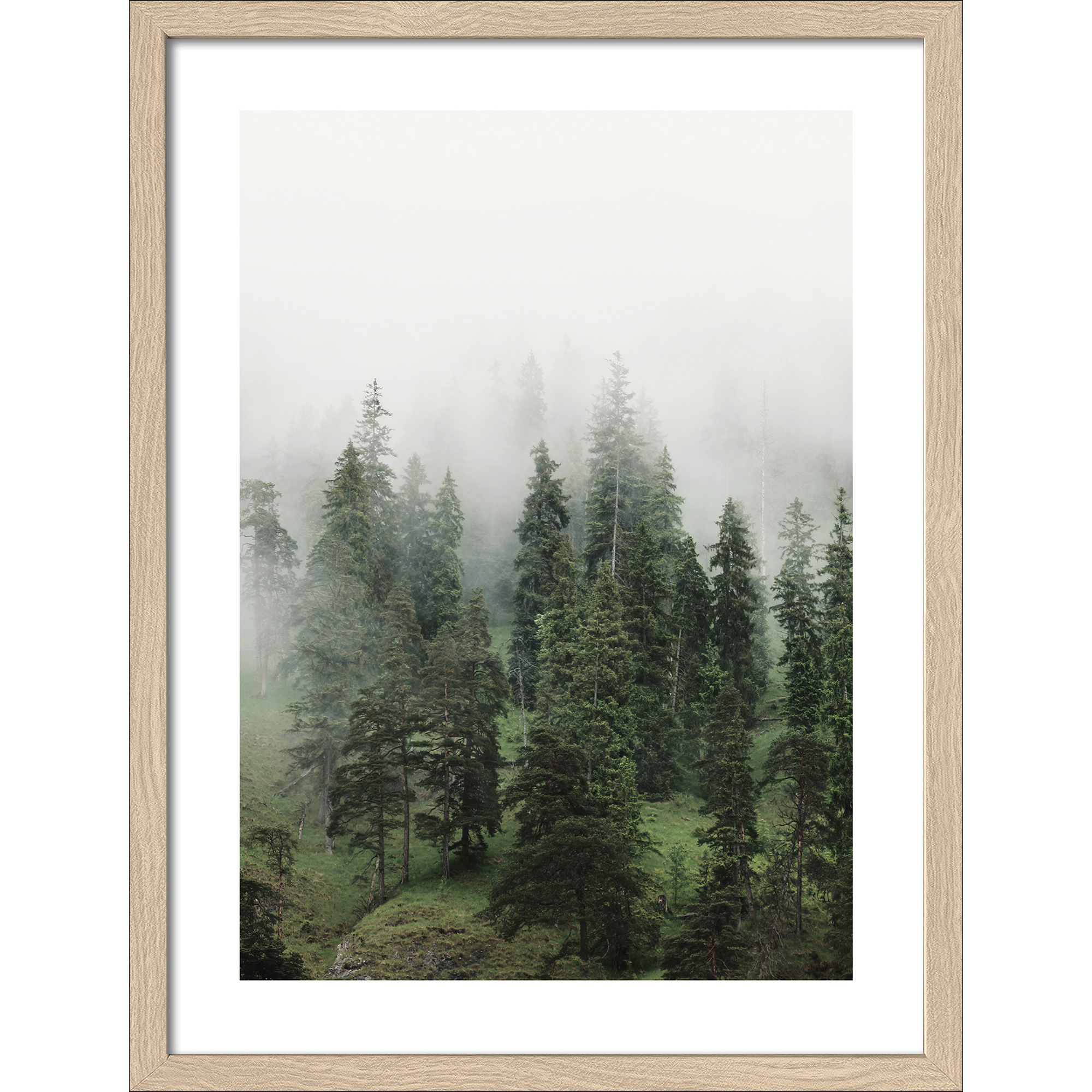 Kunstdruck Framed-Art Slim Scandic 'Foggy Trees ll' 33 x 43 cm + product picture