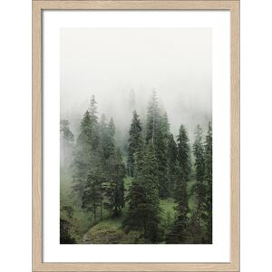 Kunstdruck Framed-Art Slim Scandic 'Foggy Trees ll' 33 x 43 cm