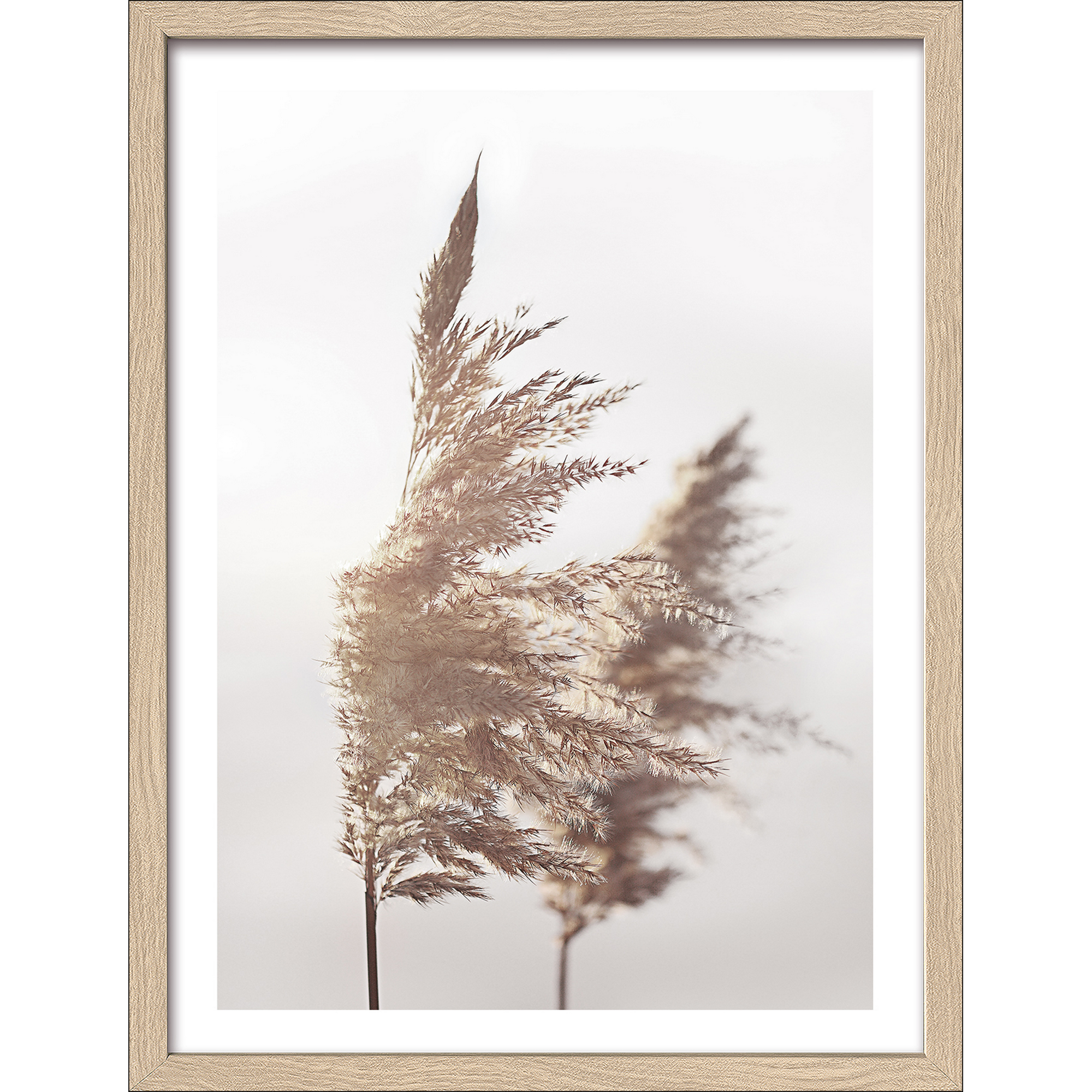 Kunstdruck Framed-Art Slim Scandic 'In the Breeze lll' 33 x 43 cm + product picture