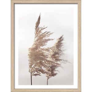 Kunstdruck Framed-Art Slim Scandic 'In the Breeze lll' 33 x 43 cm