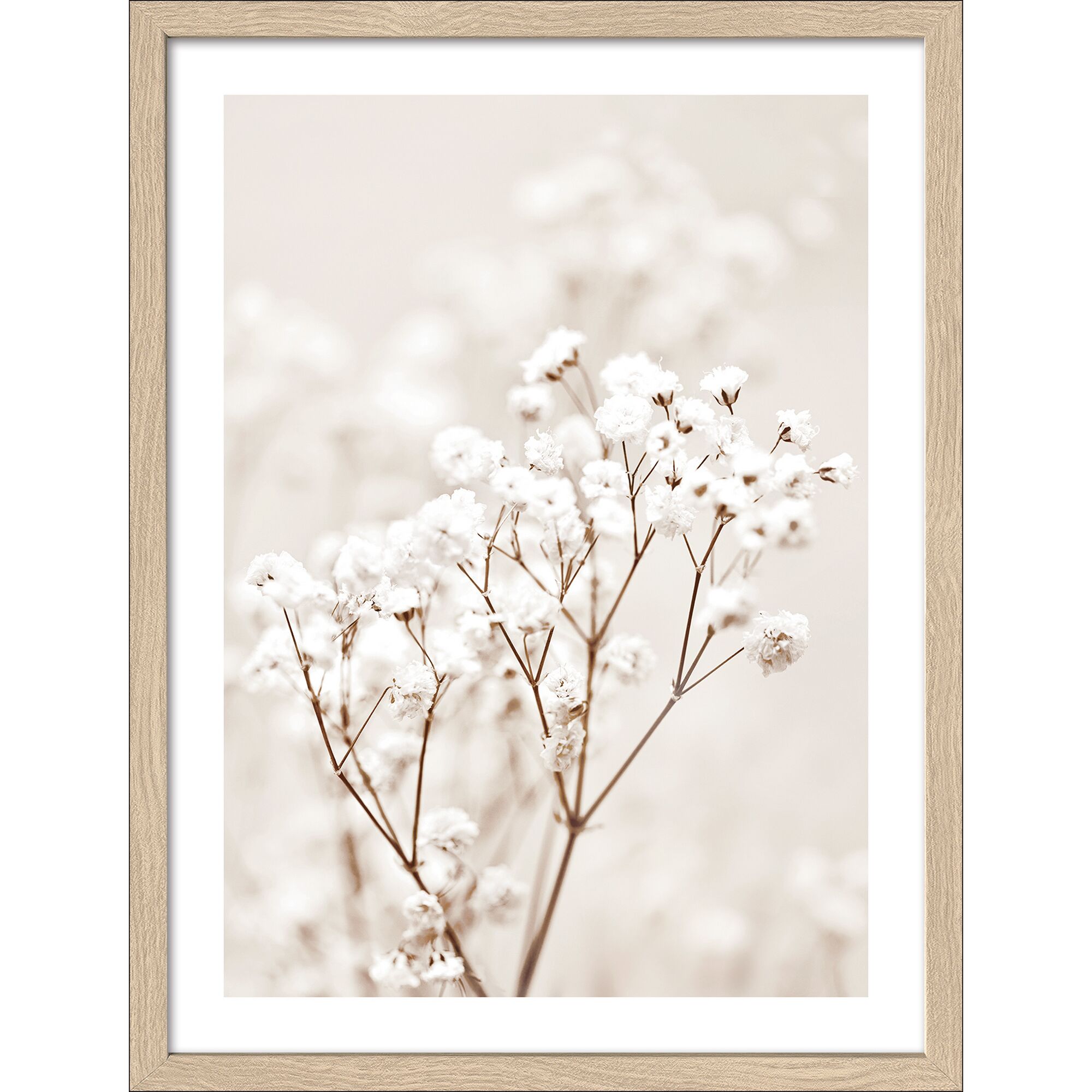 Gerahmtes Bild von weißen Blüten auf beigem Hintergrund