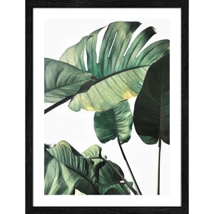 Kunstdruck Framed-Art Slim Scandic 'Jungle Leaves ll' 33 x 43 cm