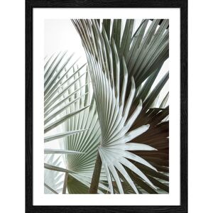 Kunstdruck Framed-Art Slim Scandic 'Jungle Leaves lll' 33 x 43 cm