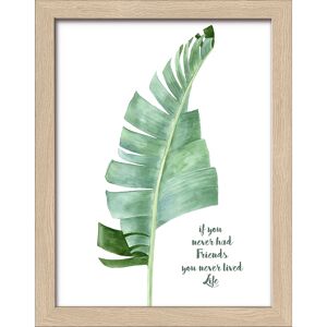 Kunstdruck Framed-Art Slim Scandic 'Green Plant Leaf ll' 19 x 24 cm