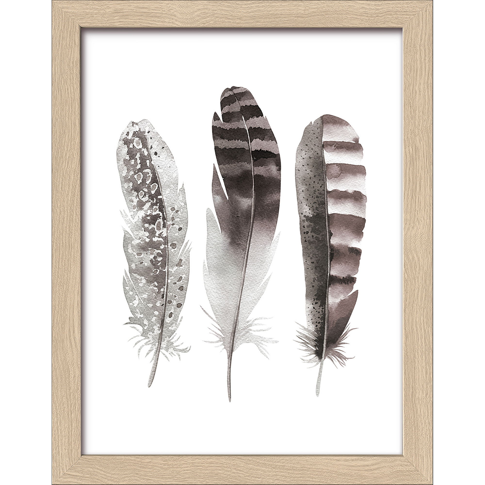 Kunstdruck Framed-Art Slim Scandic 'Three brown Feathers' 19 x 24 cm + product picture