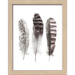 Kunstdruck Framed-Art Slim Scandic 'Three brown Feathers' 19 x 24 cm