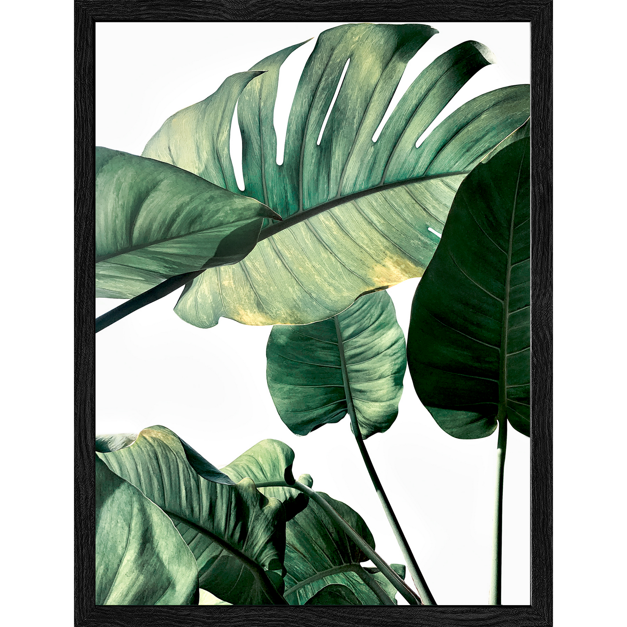 Kunstdruck Framed-Art Slim Scandic 'Jungle Leaves l' 19 x 24 cm + product picture