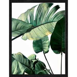 Kunstdruck Framed-Art Slim Scandic 'Jungle Leaves l' 19 x 24 cm
