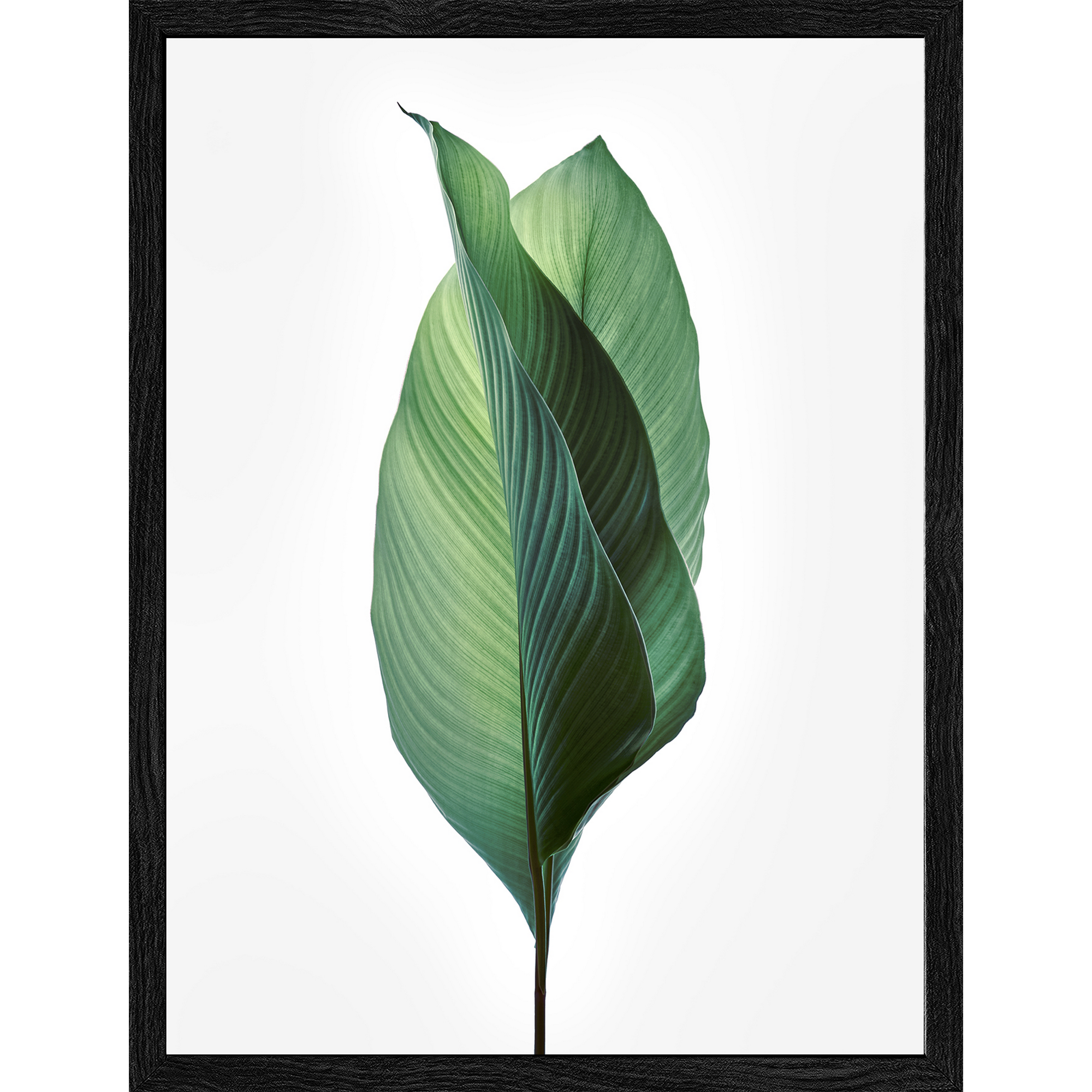 Kunstdruck Framed-Art Slim Scandic 'Jungle Leaves l' 19 x 24 cm + product picture