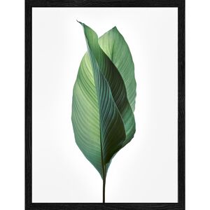 Kunstdruck Framed-Art Slim Scandic 'Jungle Leaves l' 19 x 24 cm