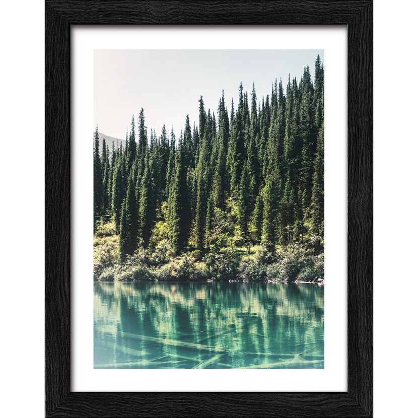 Ein See mit immergrünen Bäumen im Hintergrund.