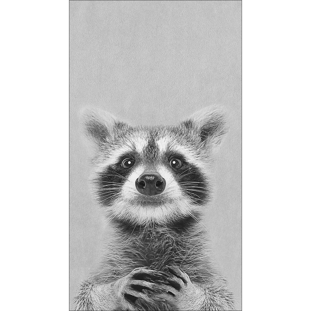 Schwarz-weiß Fotografie eines Waschbären.