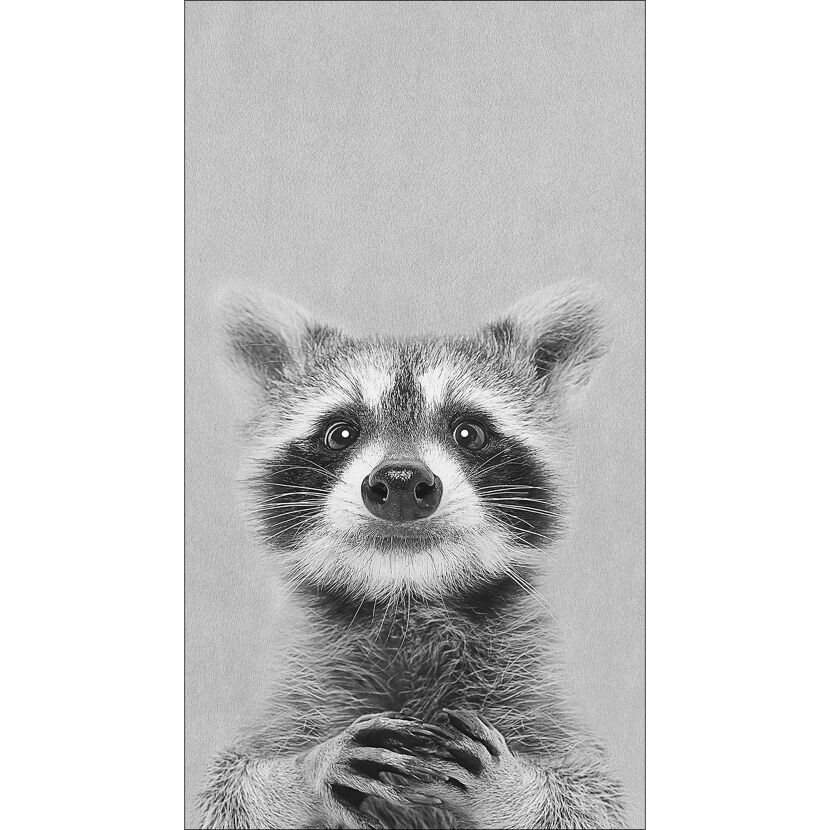 Schwarz-weiß Fotografie eines Waschbären.