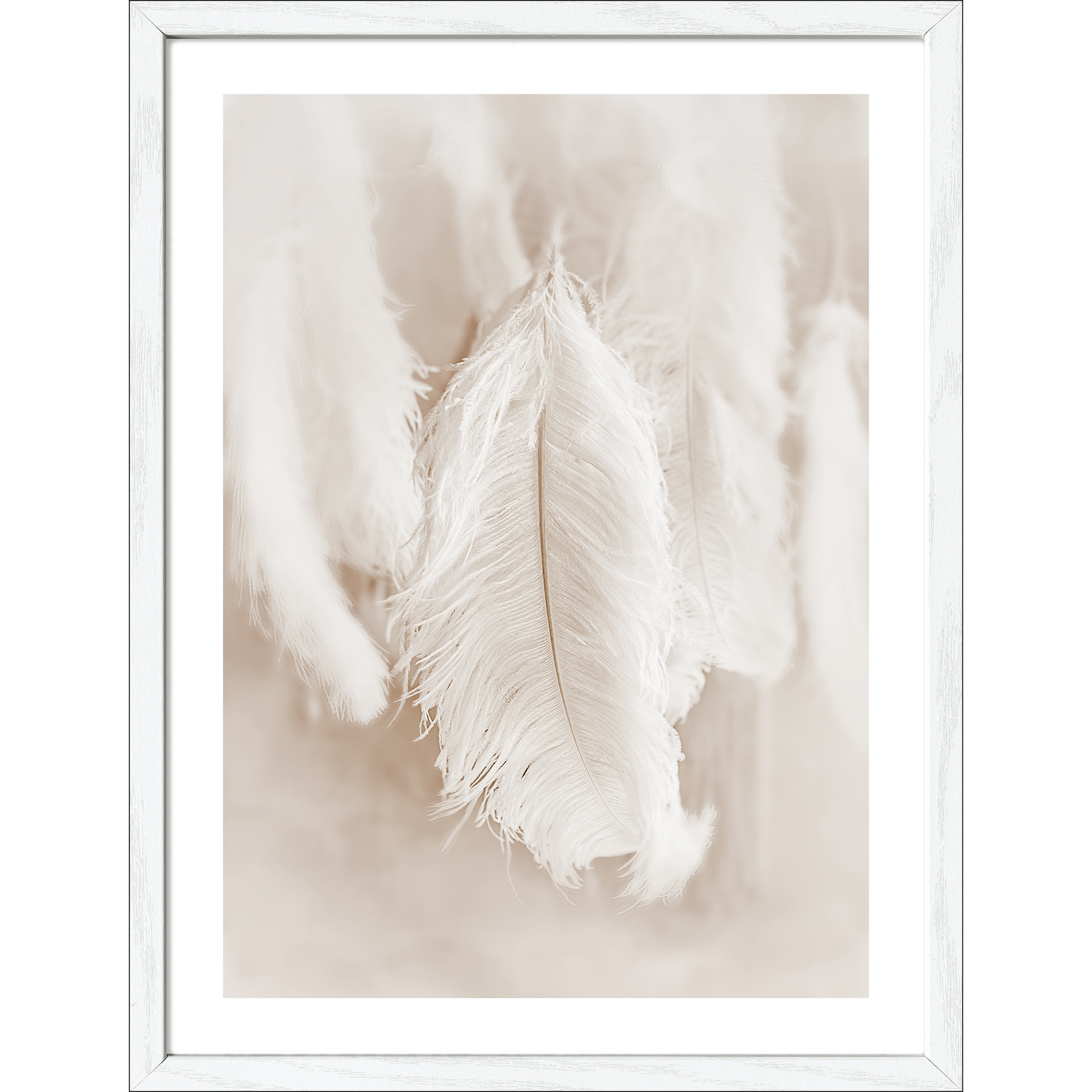 Kunstdruck Framed-Art 'The Feather ll' 33 x 43 cm + product picture