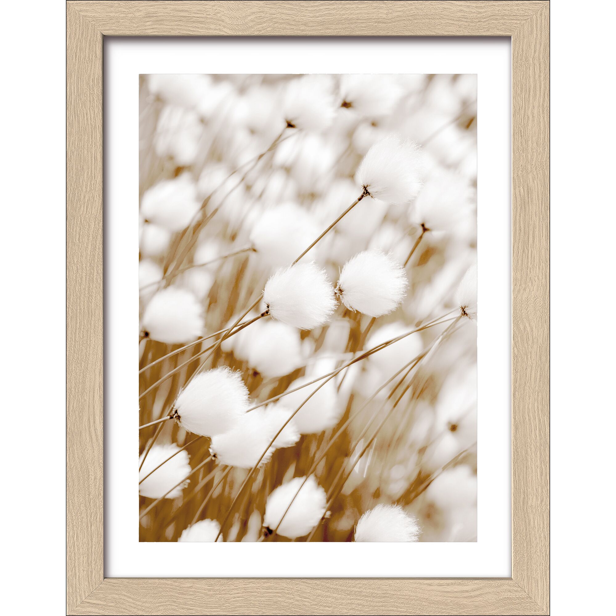 Weiße Blüten auf braunem Hintergrund