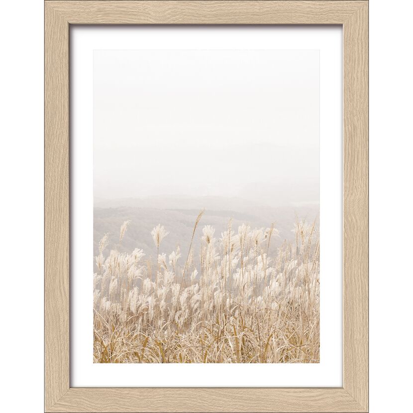 Kunstdruck Framed-Art 'Dried Fiber IV' 19 x 24 cm