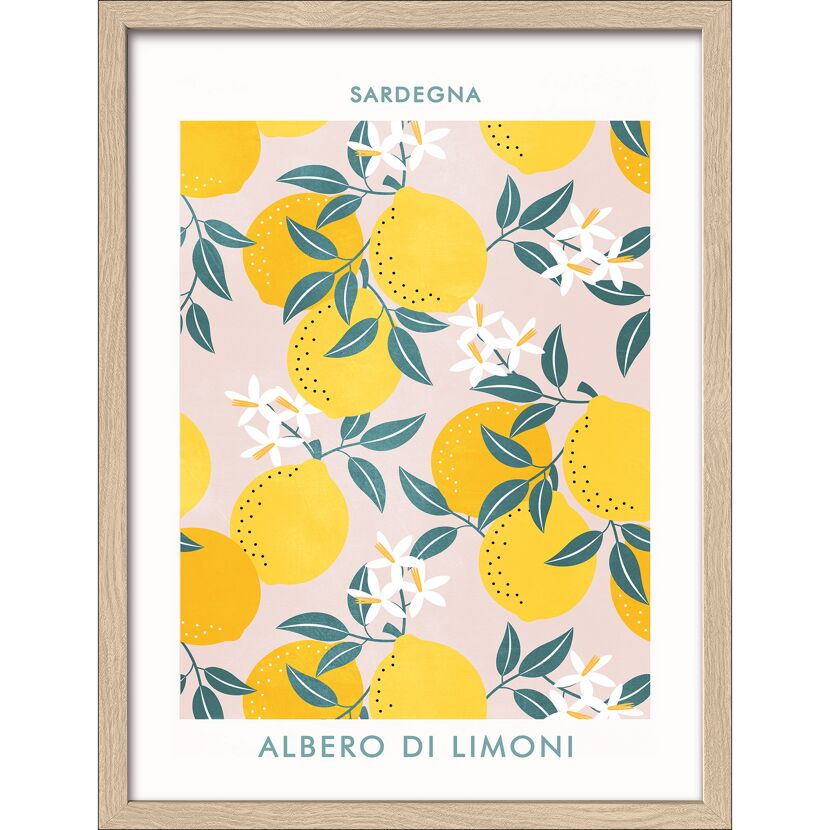 Gelbe Zitronen und Zitronenblüten auf rosa Hintergrund. Sardegna Albero Di Limoni.