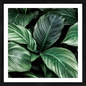 Kunstdruck Framed-Art 'Jungle Leaves I' 28 x 28 cm