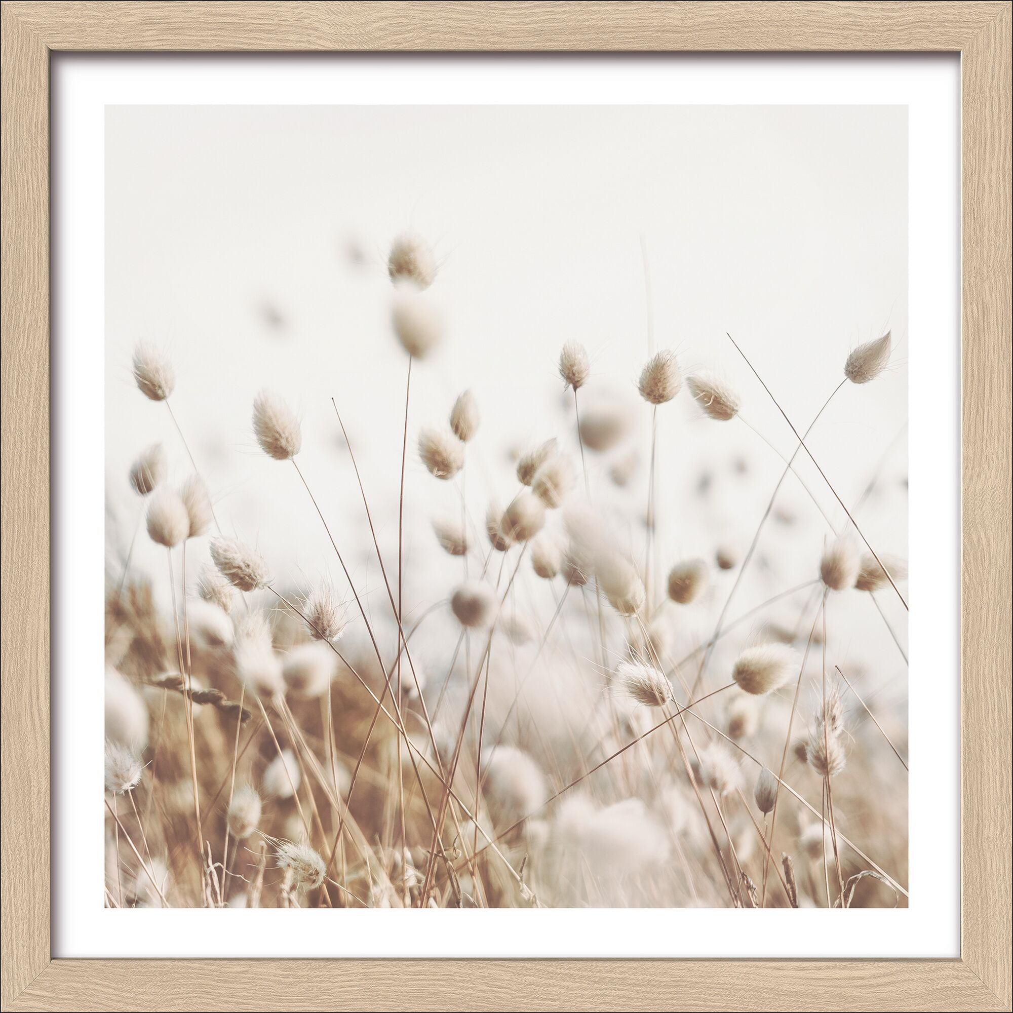 Getrocknete Faserpflanzen im Großformat