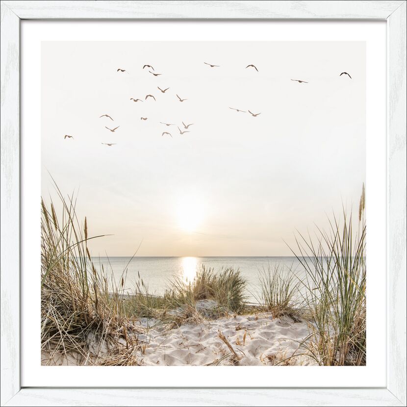 Sonnenuntergang am Strand mit Vögeln im Himmel