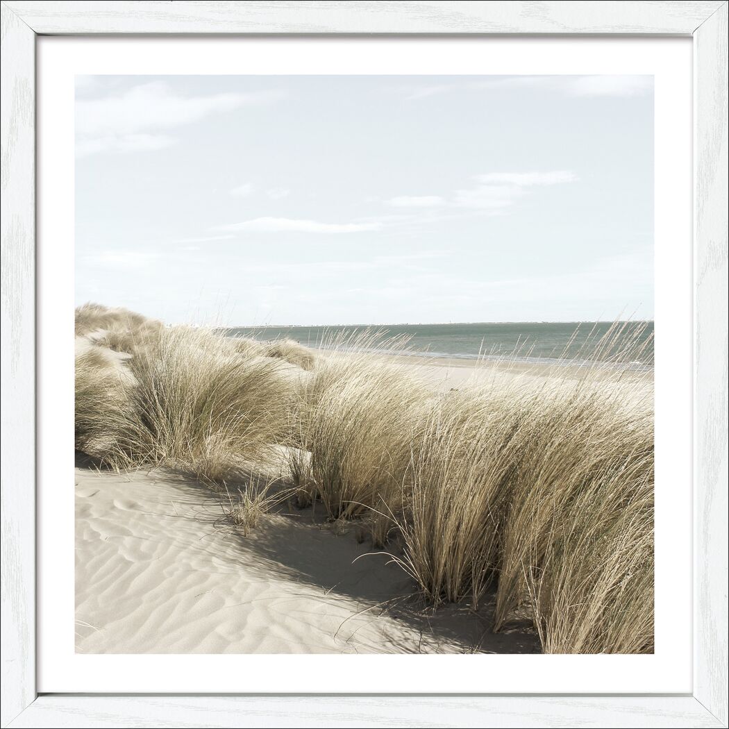 Sanddüne mit Strandgras am Strand