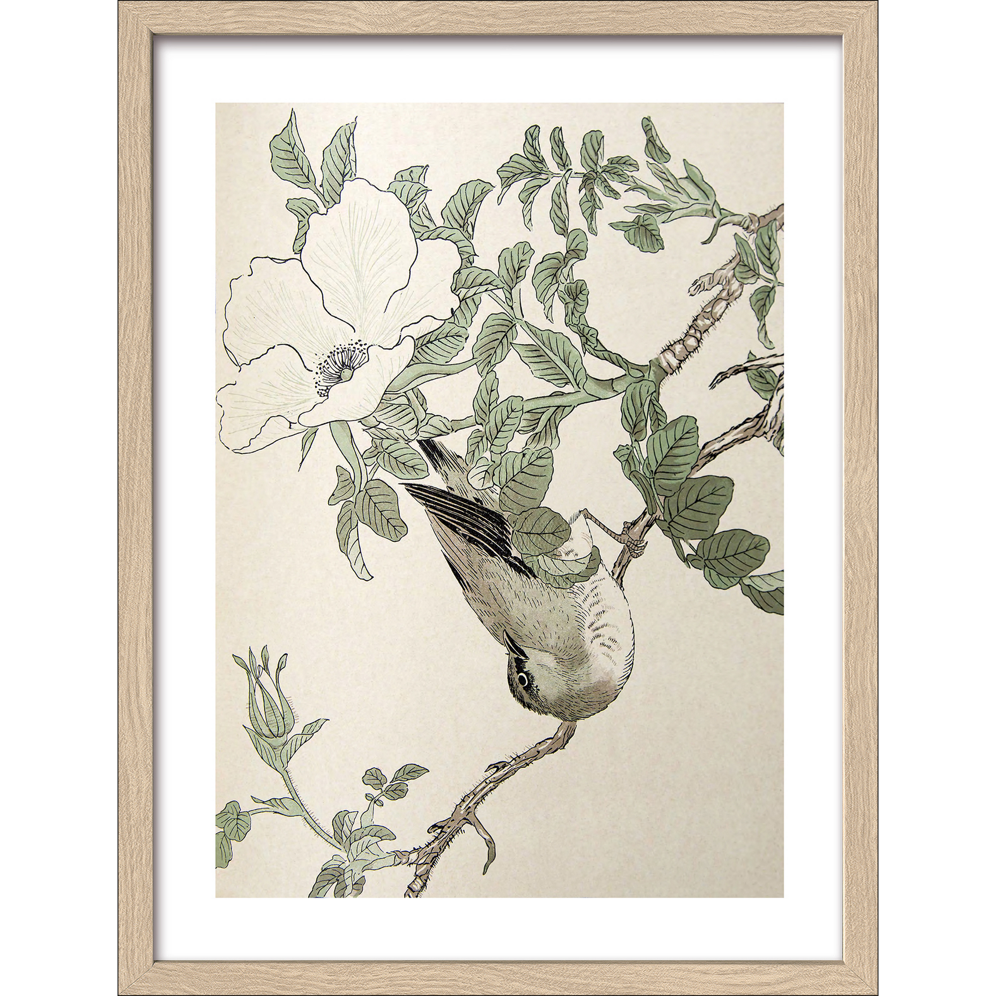 Kunstdruck Framed-Art 'Birds I' 33 x 43 cm + product picture