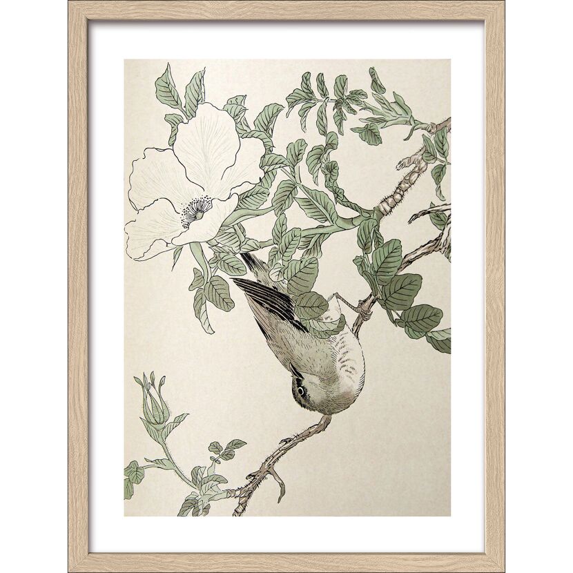 Ein kleiner Vogel sitzt auf einem blühenden Rosenzweig.