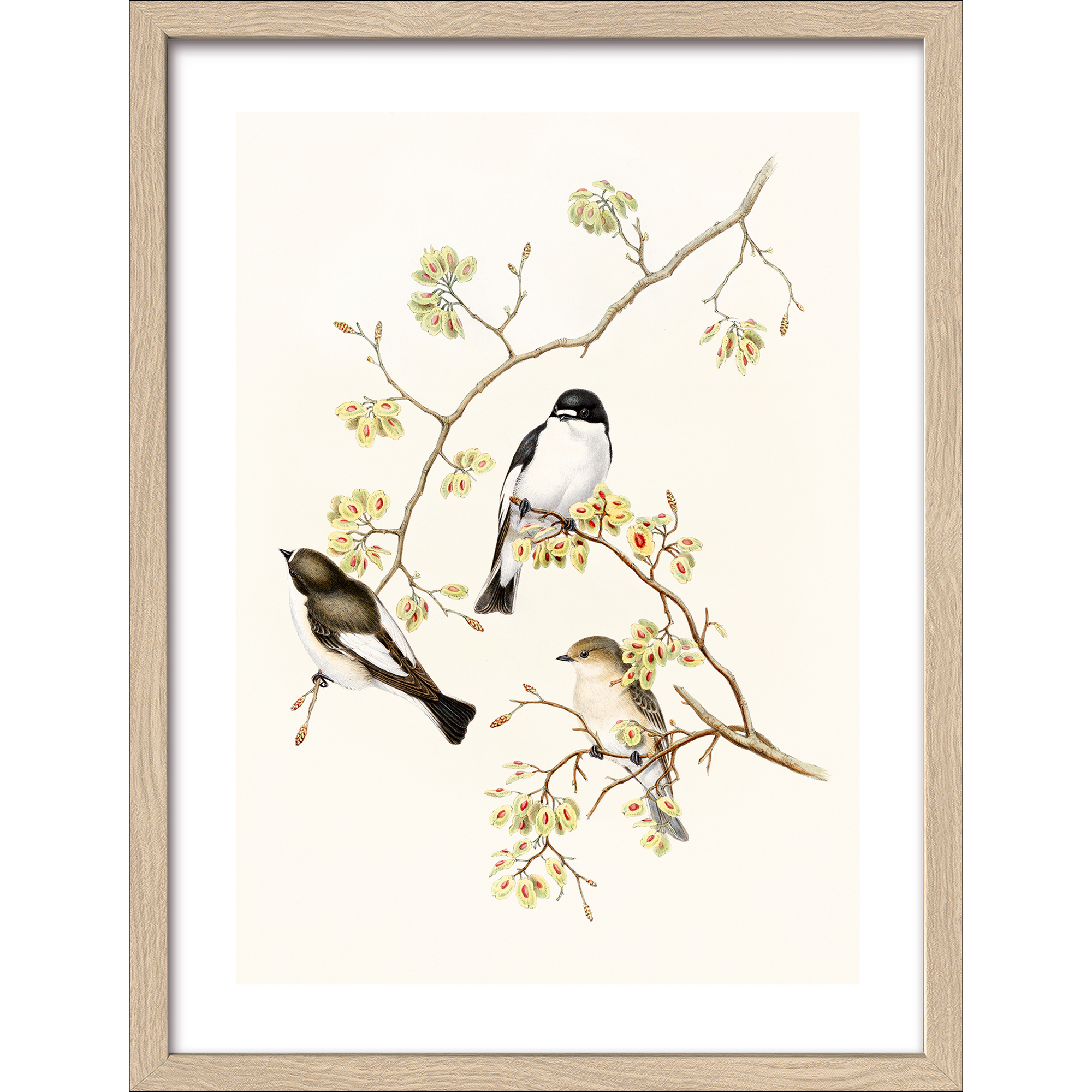 Kunstdruck Framed-Art 'Birds II' 33 x 43 cm + product picture