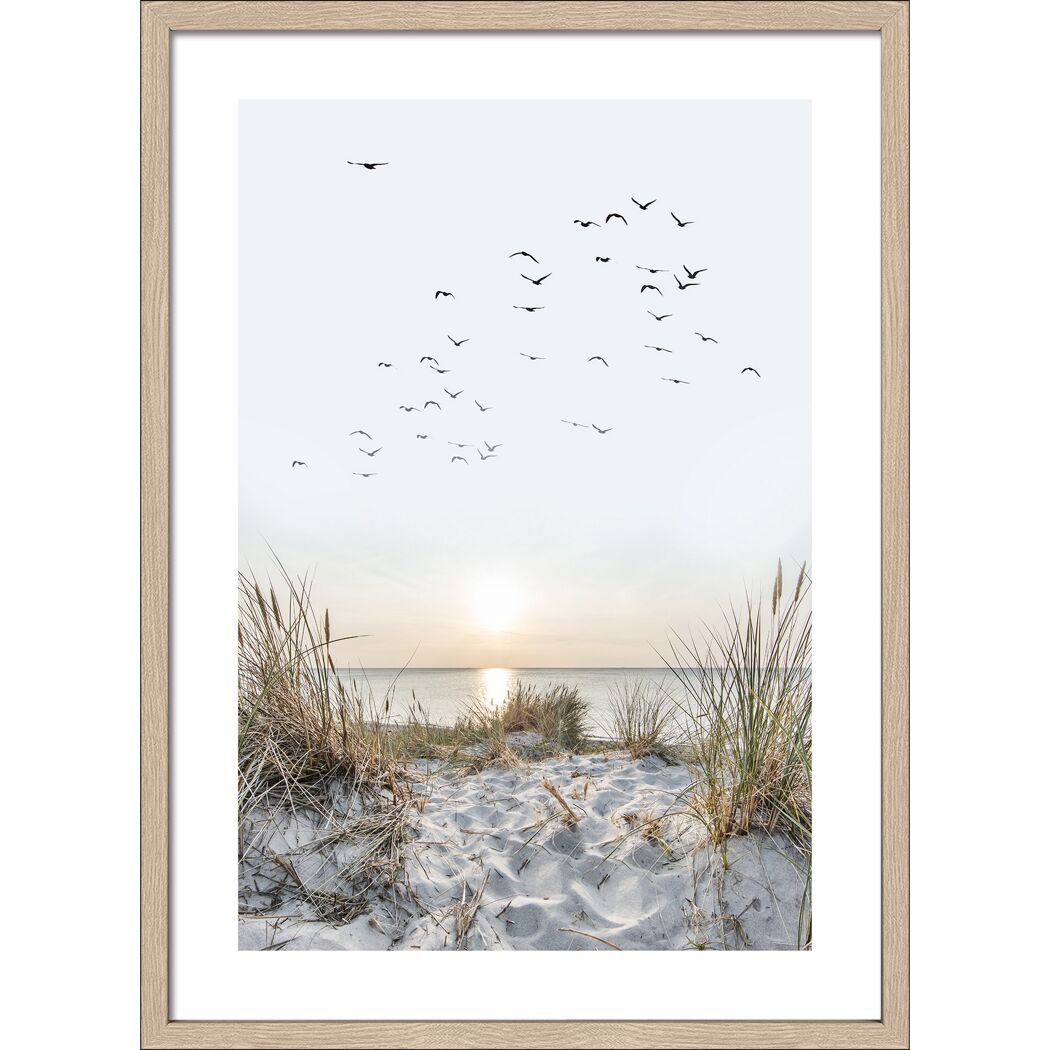 Stranddüne mit Gräsern, Meer und fliegenden Vögeln im Sonnenuntergang