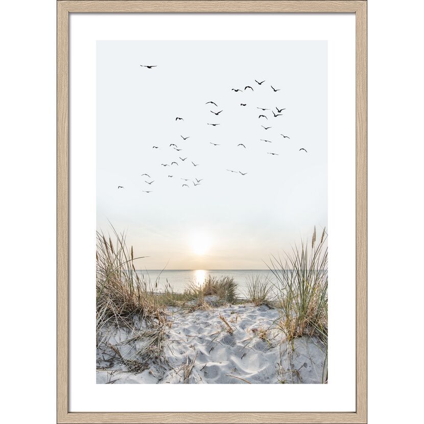 Stranddüne mit Gräsern, Meer und fliegenden Vögeln im Sonnenuntergang