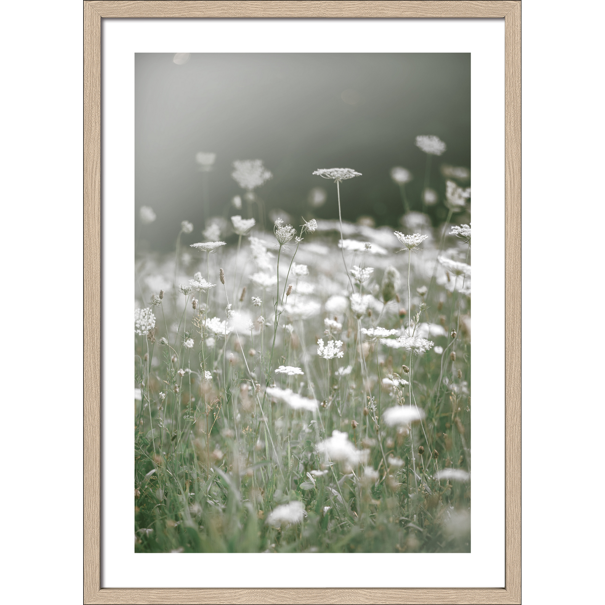 Kunstdruck Framed-Art 'Dried White Flowers III' 53 x 73 cm + product picture