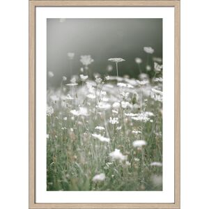 Kunstdruck Framed-Art 'Dried White Flowers III' 53 x 73 cm