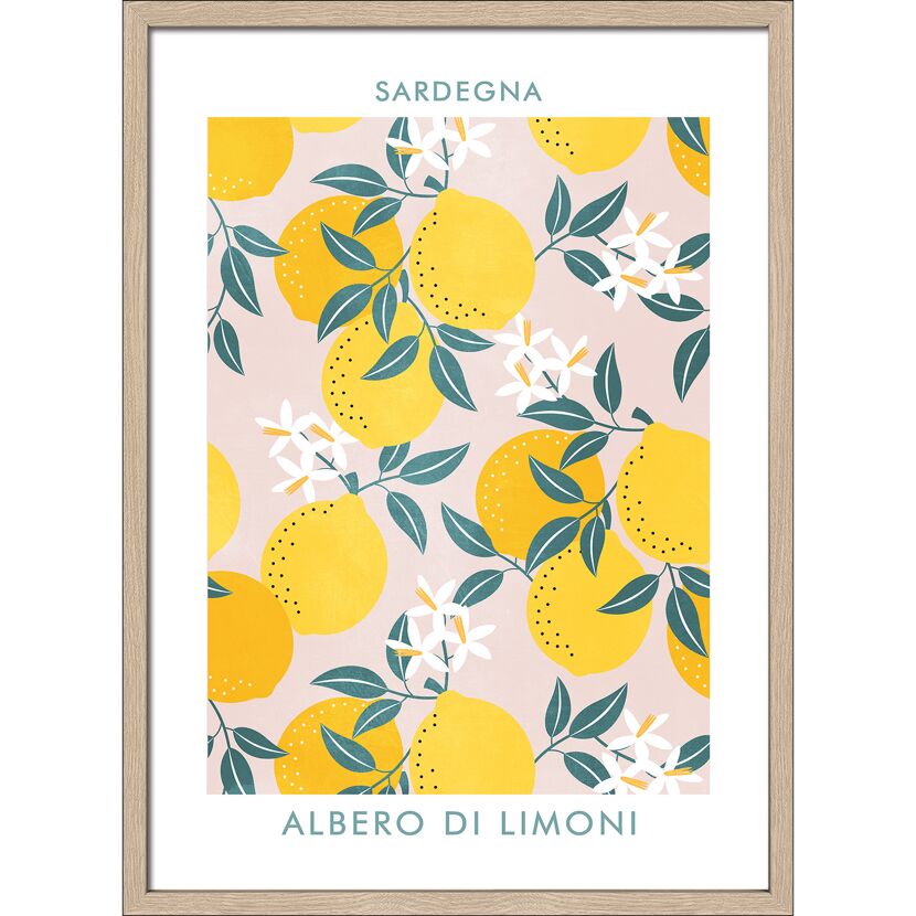 Illustration Zitronenbaum Sardegna