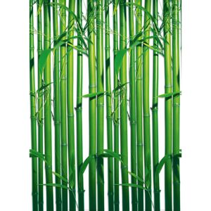 Reinders Fototapete 'Bambus' 183 x 254 cm