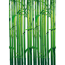 Verkleinertes Bild von Reinders Fototapete 'Bambus' 183 x 254 cm