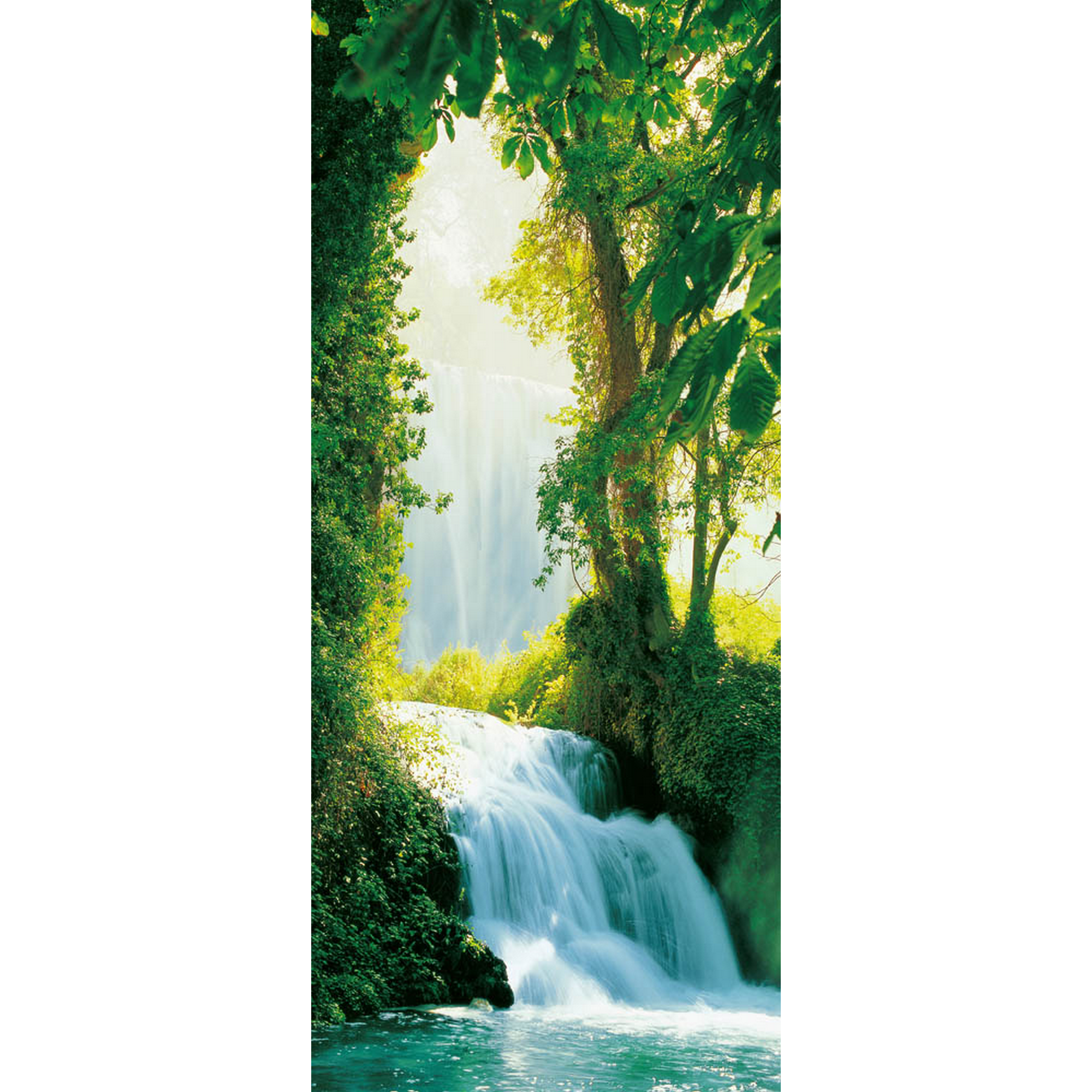 Reinders Türposter 'Wasserfälle von Zaragoza' 86 x 200 cm + product picture