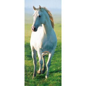 Reinders Türposter 'Weißes Pferd' 86 x 200 cm