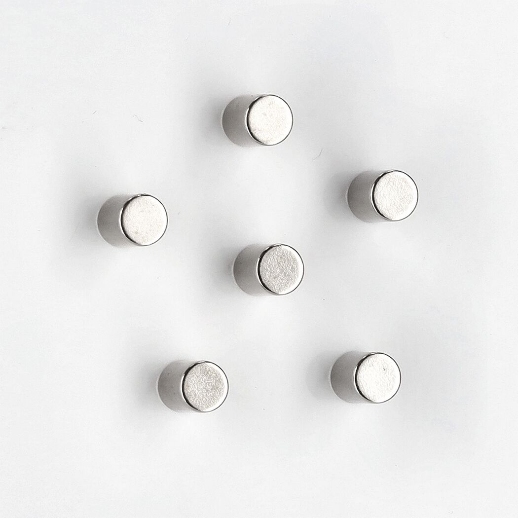 Sechs silberne, runde Magnete