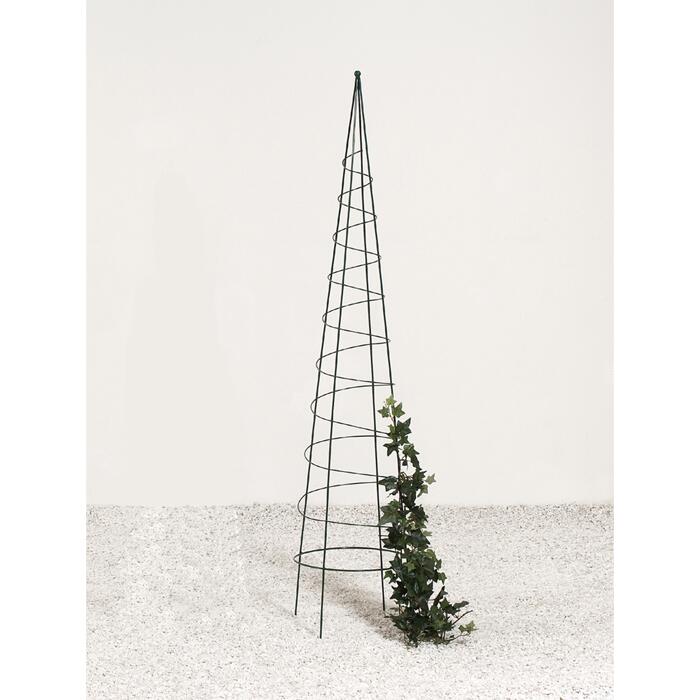 Zierspalier Obelisk Theo Grun O 32 X 150 Cm ǀ Toom Baumarkt