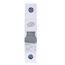 REV LS-Schalter 16A, B, 1-polig