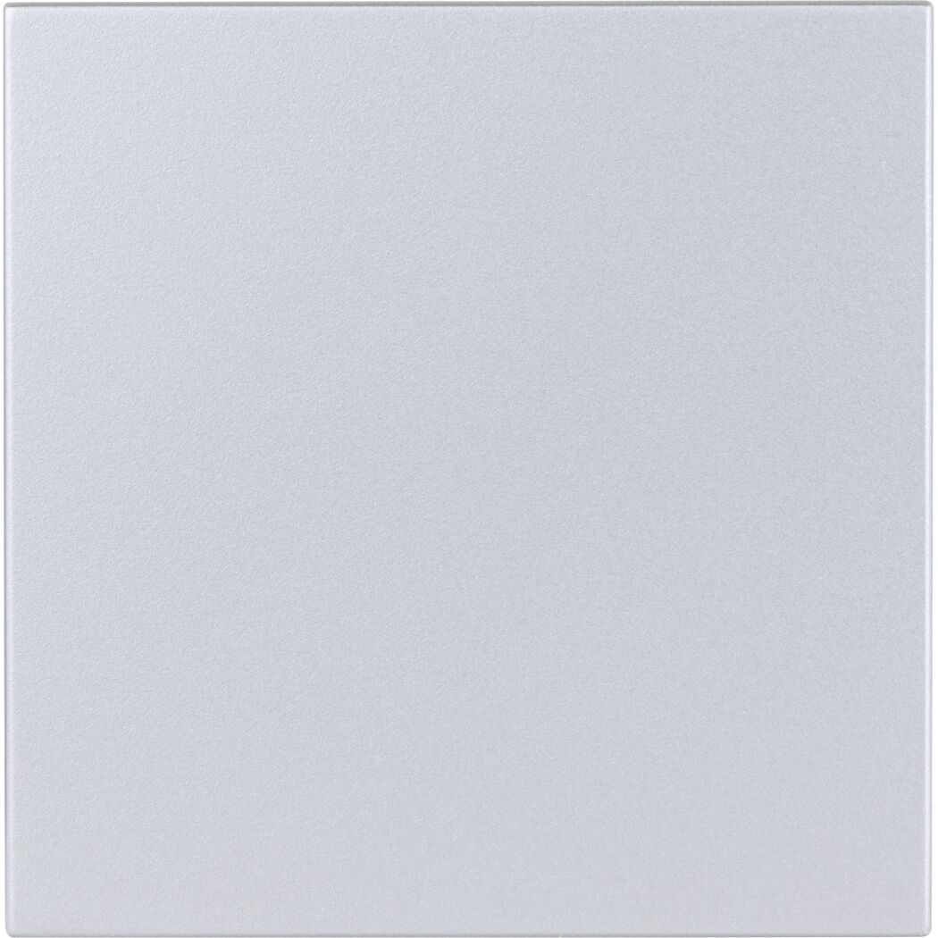 Silberner DesignLine-Lichtschalter