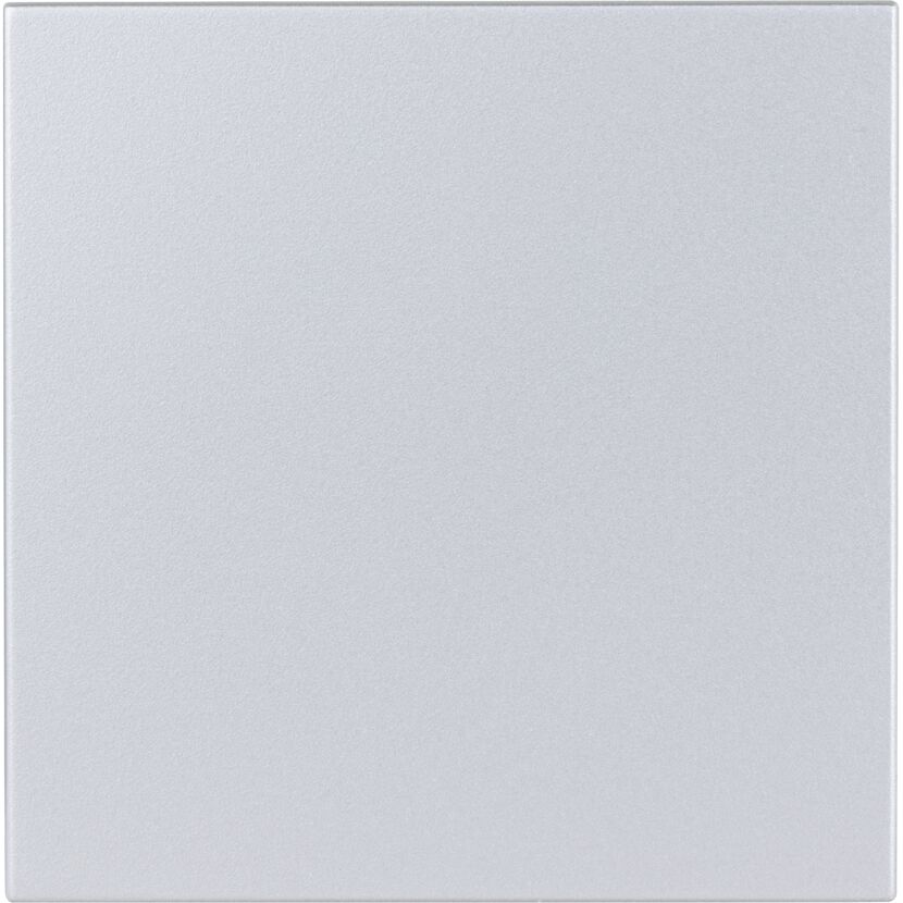 Silberner DesignLine-Lichtschalter