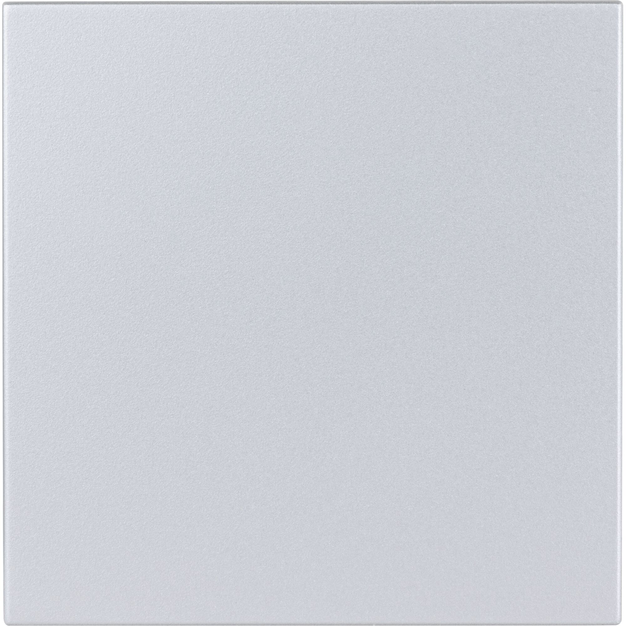 Silberner DesignLine-Lichtschalter