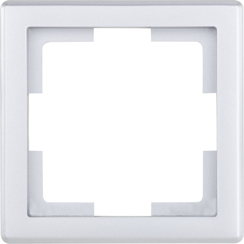 Rahmen 1-fach DesignLine, silber