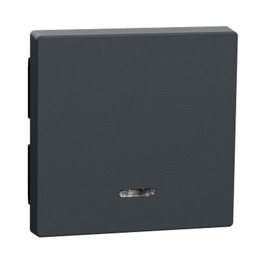 Wippe 'System M' mit Kontrollfenster anthrazit matt 5,4 x 5,4 cm