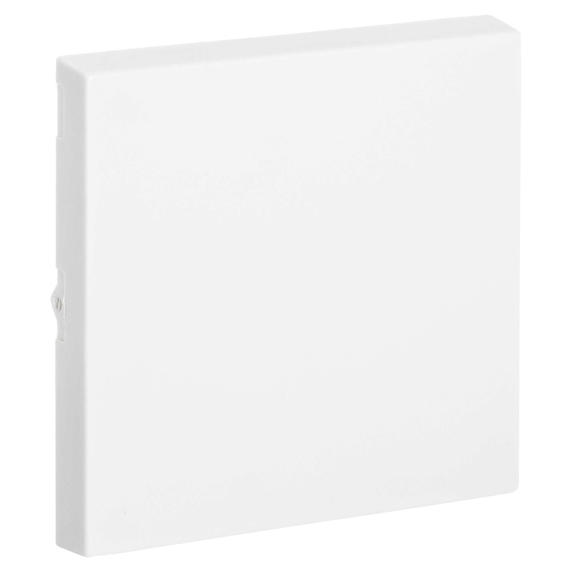 Wippe "Standard" für Lichtschalter weiß matt + product picture